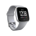 Fitbit Versa Smart Watch Large & Small Bands - Gray/Silver - FB504SRGY