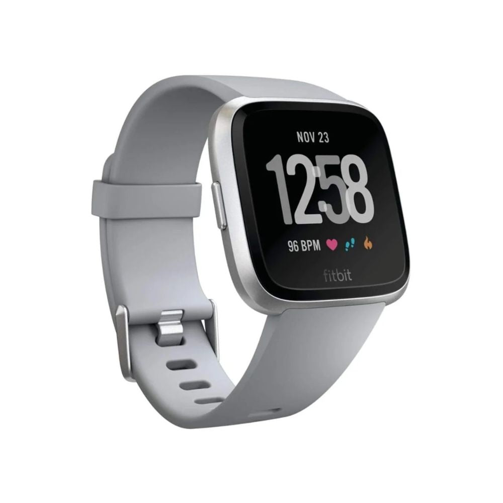 Fitbit Versa Smart Watch Large & Small Bands - Gray/Silver - FB504SRGY
