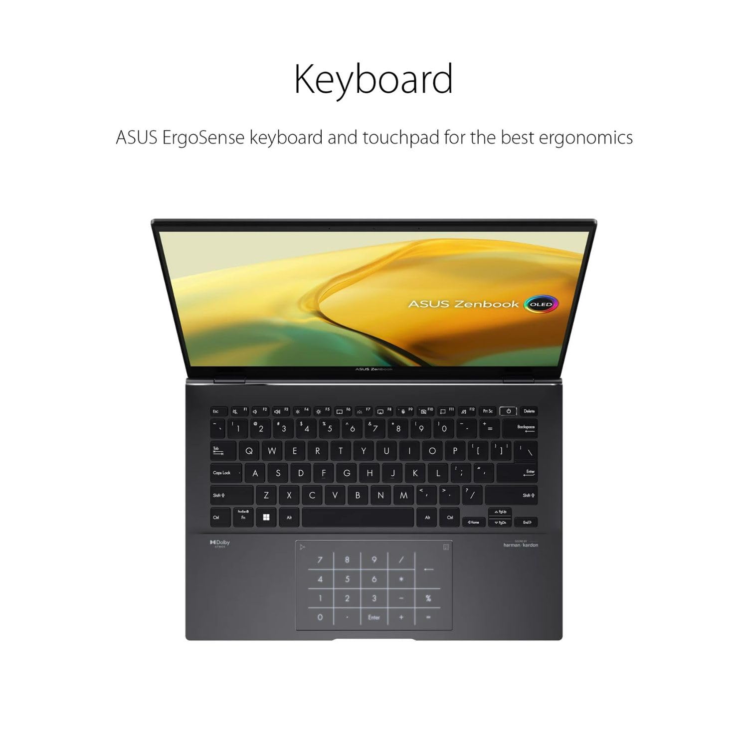 Asus Zenbook - 14" OLED WQXGA+ Touch - Ryzen 5 7530U - 8GB RAM - 256GB SSD - UM3402Y