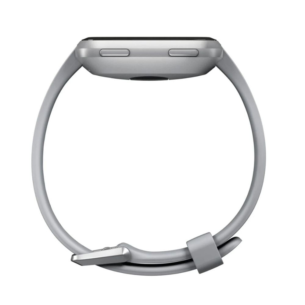 Fitbit Versa Smart Watch Large & Small Bands - Gray/Silver - FB504SRGY