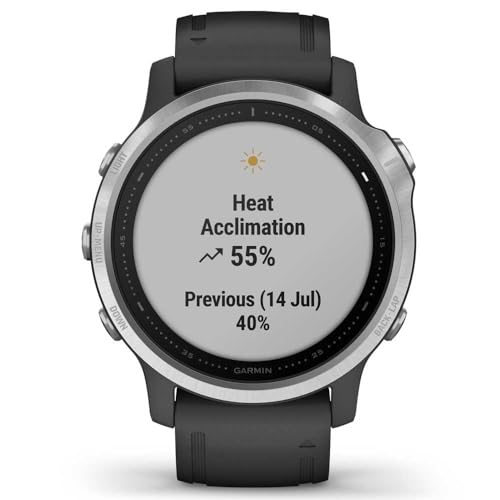 Garmin f?nix 6S GPS Smartwatch 30mm - Silver w/ Black Silicone Band - 010-02159-01