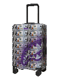 BILLIONS IN THE BANK HARD SHELL CARRY-ON LUGGAGE