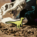 Dino Velociraptor Patch