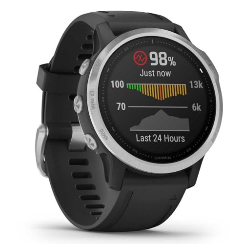 Garmin f?nix 6S GPS Smartwatch 30mm - Silver w/ Black Silicone Band - 010-02159-01